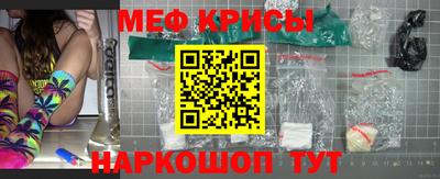 стафф Дубна