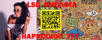 ПСИЛОЦИБИНОВЫЕ ГРИБЫ Донской