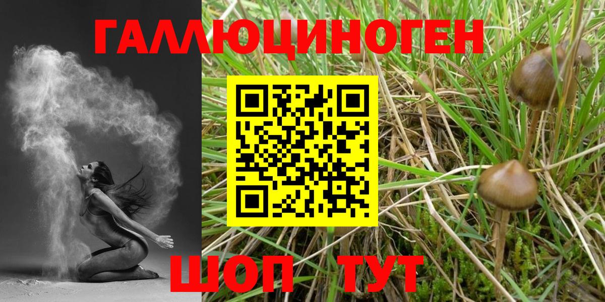 Псилоцибиновые грибы мухоморы  где можно купить   Майкоп  Псилоцибиновые грибы MAGIC MUSHROOMS  Вход с VPN 
