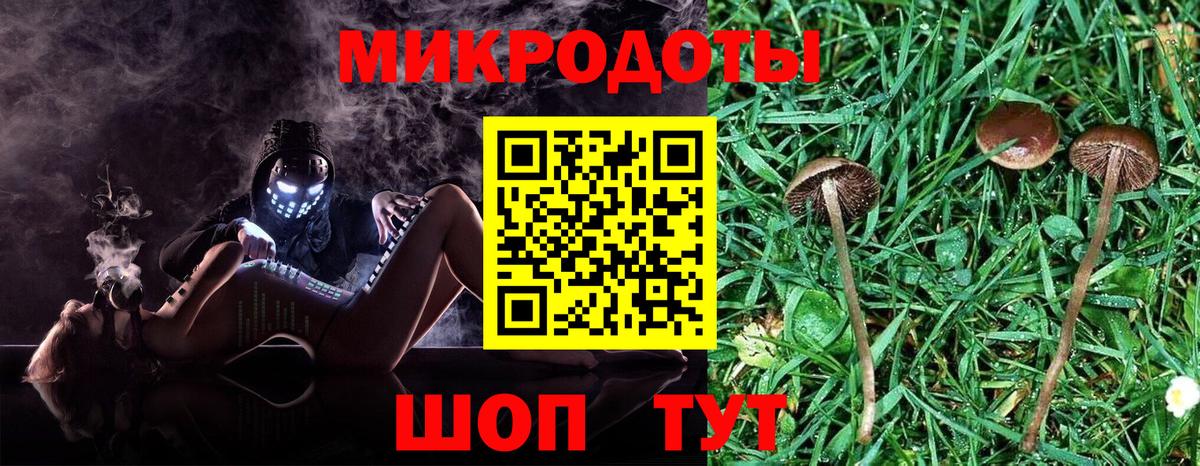 Псилоцибиновые грибы Psilocybine cubensis Майкоп