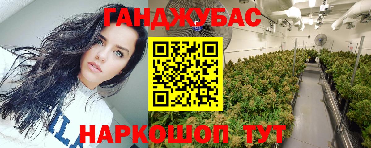 Конопля AK-47 Майкоп